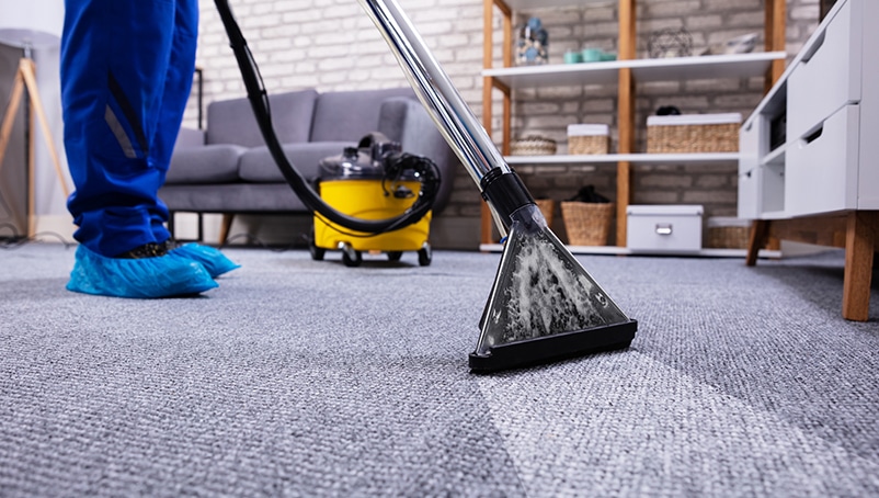 What Options Expert Carpet Cleaners Provide?